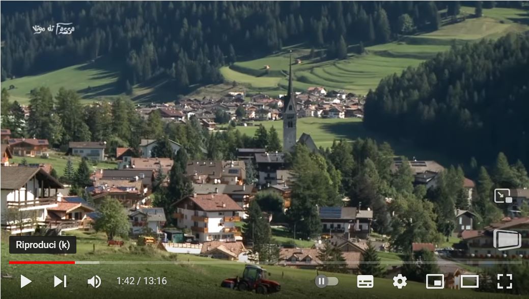 video vigo